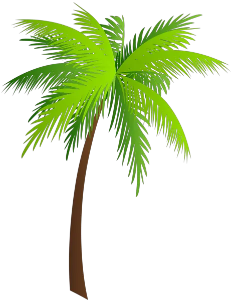 Animated Palm Tree Png