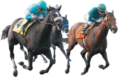 Horses Transparent Png Images Page3 Stickpng Horse Racing Transparent Background Horse Transparent Background