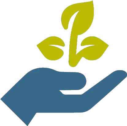 Womenu0027s Rights U2013 Emhrf Hand Hold Plant Icon Png Hand Hold Icon Icon