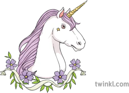 Unicorn Head 1 Horse Mythical Creature Animal Ks2 Unicorn Png Unicorn Head Png