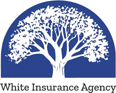 White Insurance Agency Personal Business U0026 Employee Illustration Png Png Tree.com