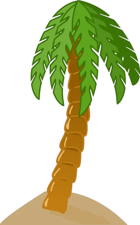 Black Palm Tree Png