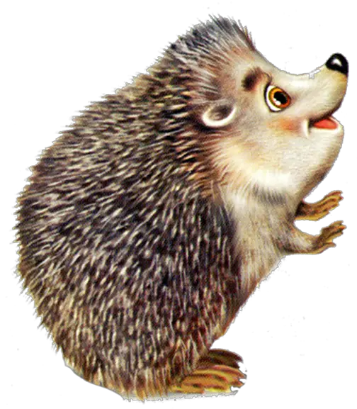 Cute Hedgehog Png Clipart Background Hedgehog Color Pencil Drawing Hedgehog Png