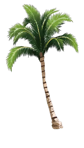 Palm Tree Clipart Png