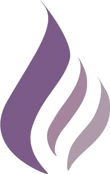 Dk Purple Flame Logo Clip Art Purple Z Logo Transparent Png Purple Flames Png