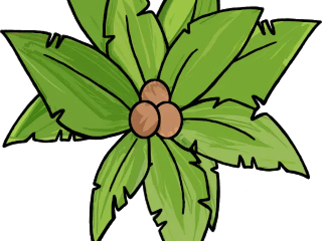 Vector Palm Tree Png