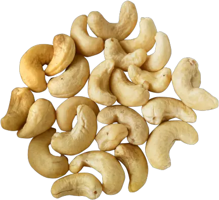 Cashew Nut Png Transparent Image Pngpix Transparent Background Cashew Nut Png Peanut Png