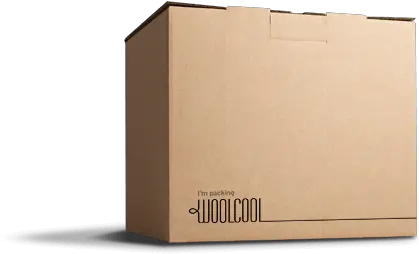 Insulated Food Courier Boxes Woolcool Packaging Box Packaging Png Cardboard Box Transparent