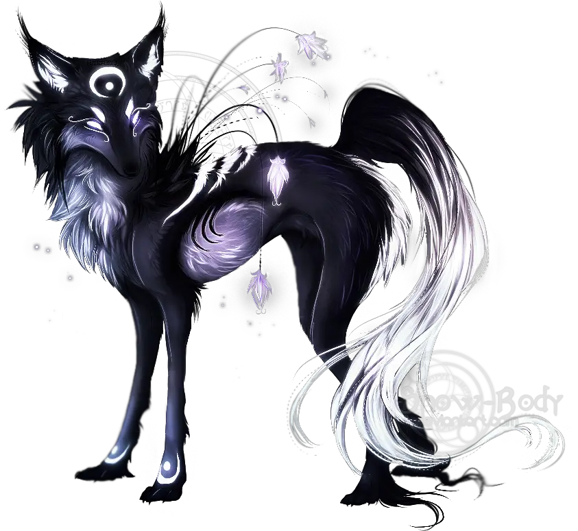 Grey White Wolf Fantasy Wolf Drawings Full Size Png Wolf Drawing Circle Anime Fantasy White Wolf Png