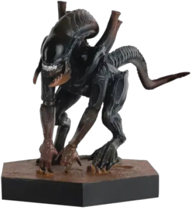 Xenomorph Png And Vectors For Free Xenomorph Alien Vs Predator Xenomorph Png