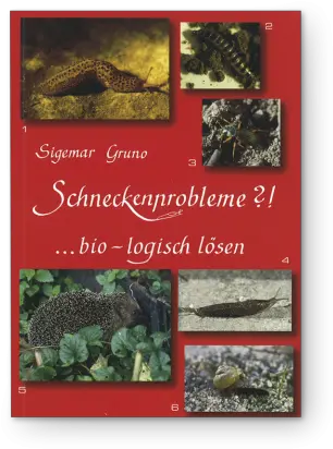 Solving Snail Problems Organically German Igneous Rock Png Snail Transparent