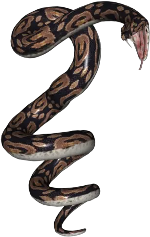 Snake Python Snake 3d Model Png Snake Png