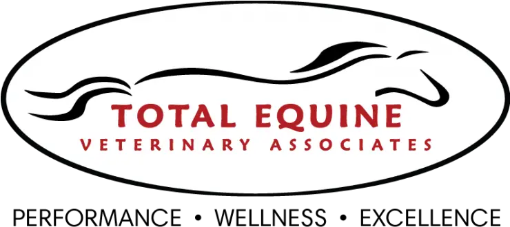 Keeping Horses Healthy For Life Total Equine Veterinary Calligraphy Png Total Logo