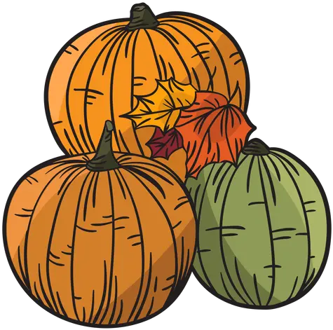 Hand Drawn Pumpkin Hand Drawn Pumpkin Png Thanksgiving Pumpkin Png