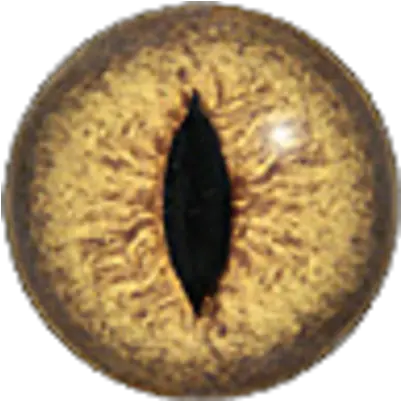 Snake Eye Png Image Circle Snake Eye Png