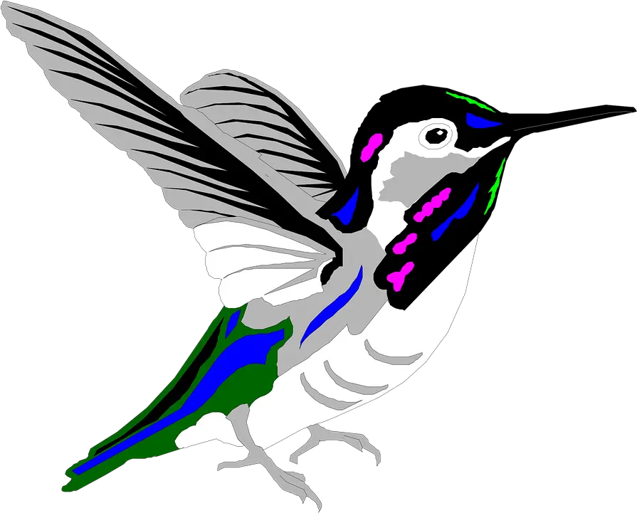 Free Bird Png Multicolored Bird Png High Quality Image Kartun Burung Kolibri Hummingbird Transparent Background