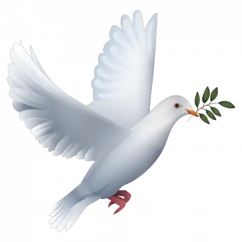 Tags Dove Png Creative Soorma Patterns Backgrounds Dove Png