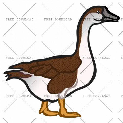Duck Goose Swan Bird Png Image With Transparent Goose Clip Art Goose Transparent