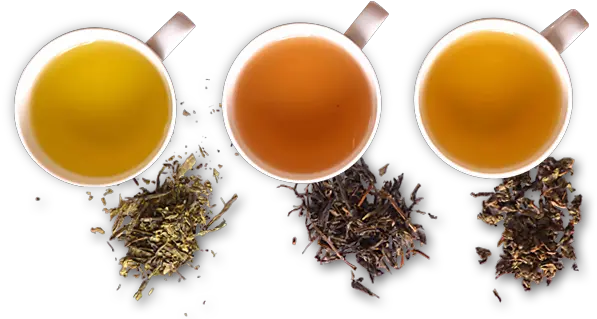 Gong Cha Usa Premium Quality Bubble Tea Tea Quality Png Bubble Tea Png