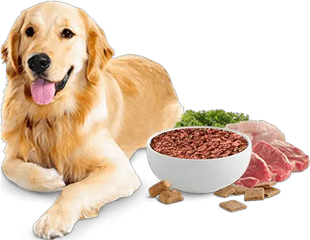 Buy Dog Food Online Golden Retriever Dog Png Dog Food Png