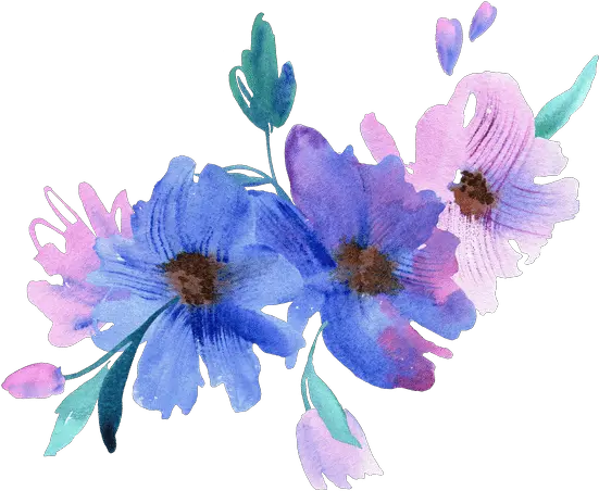 Elenaefremova U2013 Canva Poppy Anemone Png Flower Icon Tumblr