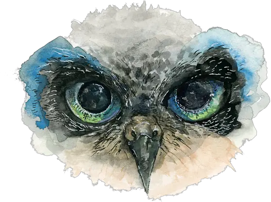 Pink Eyes Transparent Png Clipart Owl Painting Acrylic Eyes Owl Eyes Logo