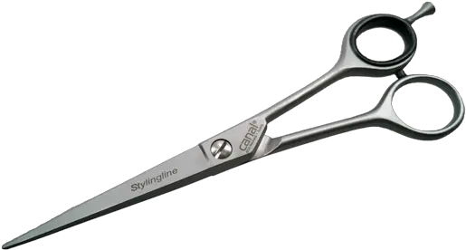 Hair Scissors Stainless 17 Cm Metalworking Hand Tool Png Hair Scissors Png