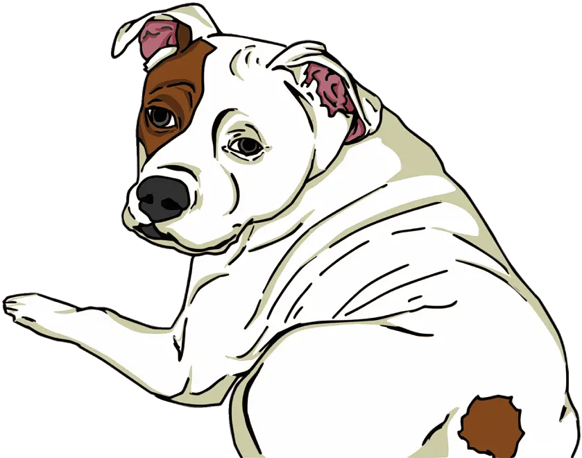 Animal Dog Pet Free Vector Graphic On Pixabay American Pit Bull Terrier Png Dog Sitting Png