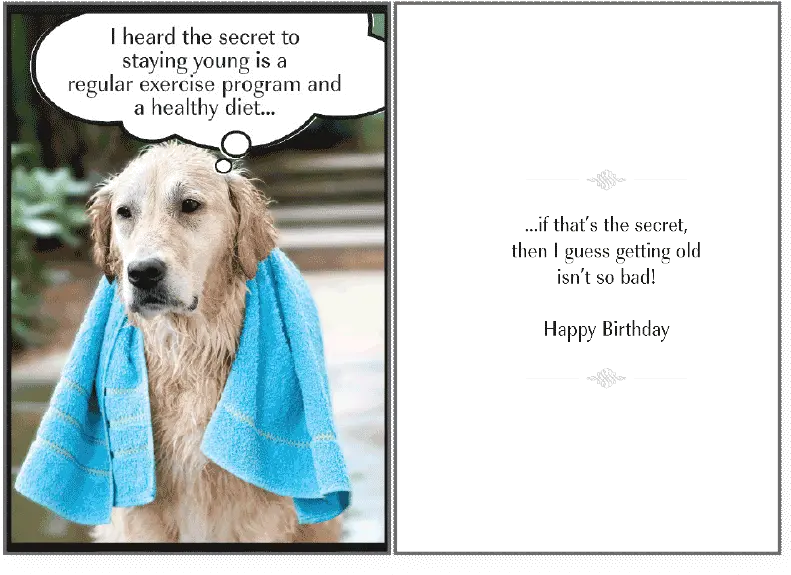Download Secret To Staying Birthday Card Happy Birthday Happy Birthday Dog Lover Png Funny Dog Png
