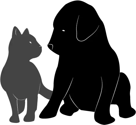 Download Hd Dog And Cat Adoption Dog And Cat Silhouette Silhouette Cat And Dog Png Cat Silhouette Transparent