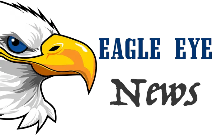 Bald Eagle Clipart Eye Bald Eagle Head Cartoon Png Bald Eagle Bald Head Png