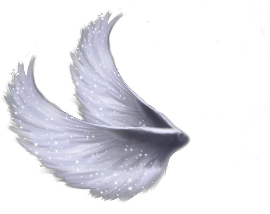 Wings Png File Mart Side Angel Wings Png Wing Png