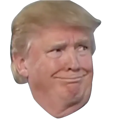 Download Donald Trump Png Head Donald Trump Face Transparent Trump Png
