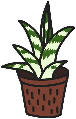 Succulent Attractive Gasteria Illustration Transparent Png Houseplant Succulent Transparent Background