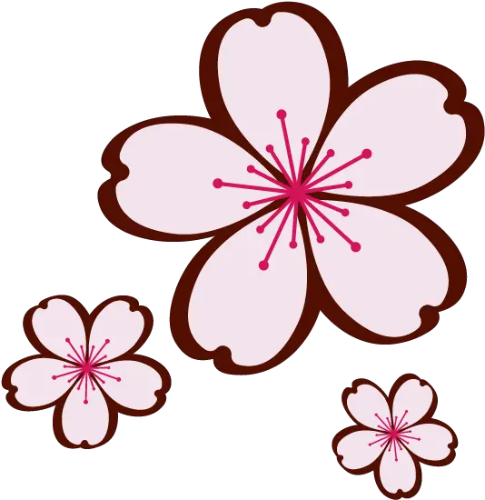 Cherry Blossom Extravaganza Floral Png Cherry Mobile Icon