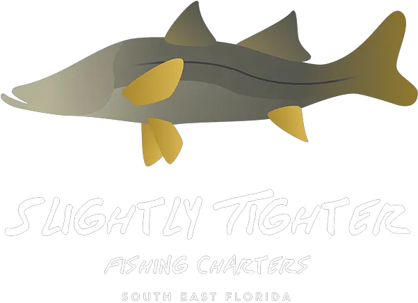 Slightly Tighter Fishing Charters South East Florida Marine Mammal Png Ocean Fish Png