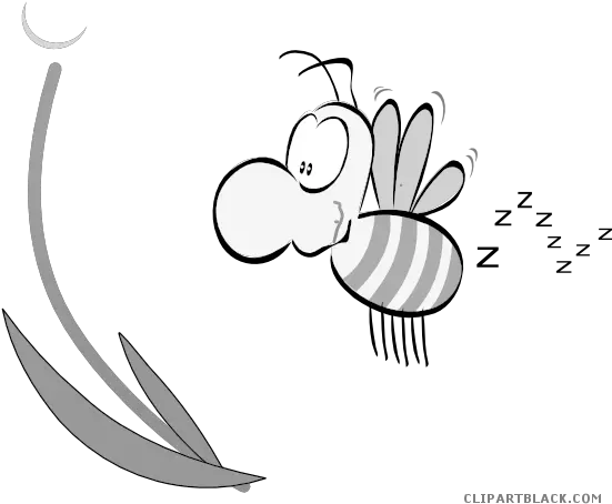 Download Hd Royalty Free Buzzing Bee Clipart Allover Buzz Bee Clipart Png Bee Clipart Png