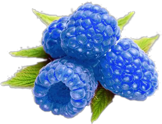 Blueberry Vs Blue Raspberry Blue Raspberry Blue Fruits Png Raspberry Png