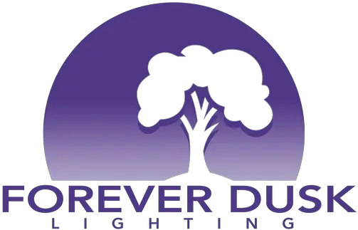 Lights Ontario Forever Dusk Lighting Tree Png Clear Png