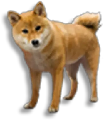 Kaz Hokkaido Dog Png Shiba Icon