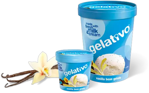 Vanilla Bean Gelativo Ice Cream Png Vanilla Bean Png