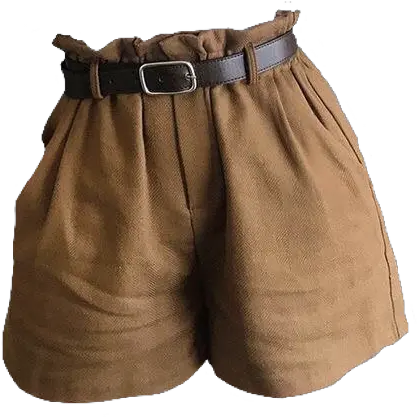 Shorts Png Womens Brown Shorts Outfit Shorts Png