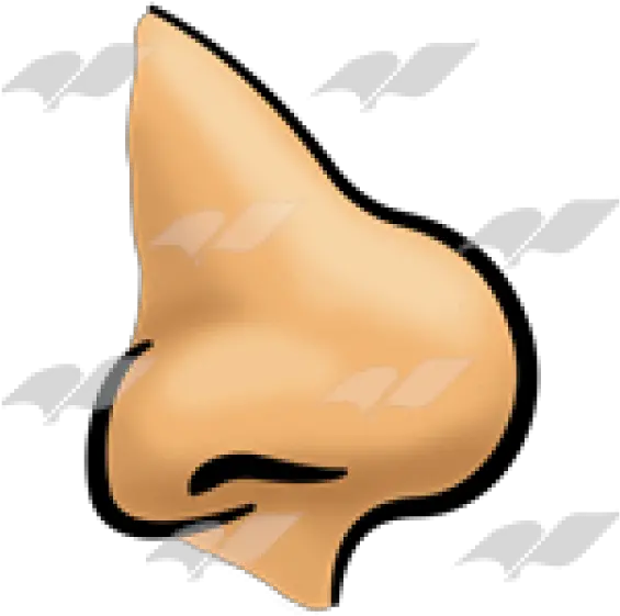 Png4all Transparent Background Nose Clip Art Png Cartoon Nose Png