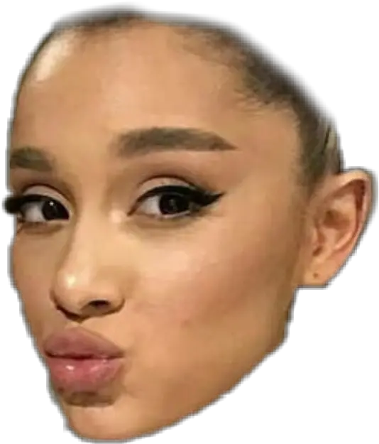 Arianagrande Arianasface Ariana Sticker By Yasemin Ariana Grande Make Up 2018 Png Ariana Grande Transparent