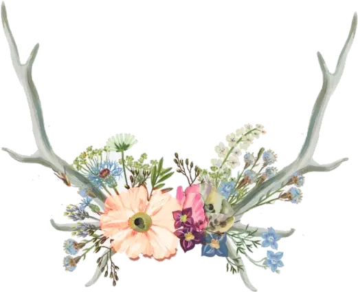 Flower Crown Clipart Tumblr Transparent Flower Crown Png Flower Crown Transparent