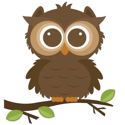Owl Transparent Owl Clipart Png Owl Transparent