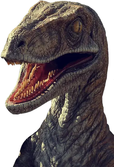 Zurb Raptorize Drupalorg Velociraptor Jurassic Park Png Velociraptor Png