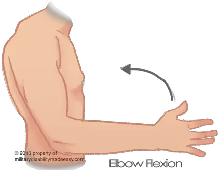 Shoulder Arm Transparent Png Shoulder Arm Png Muscle Arm Png