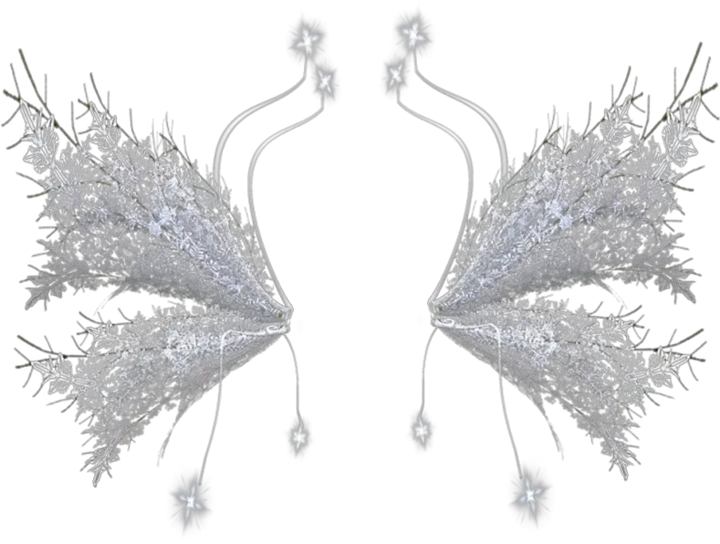 Download Transparent Angel Wing Png Vector Snow Angel Wings Angel Wing Png