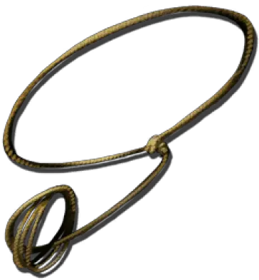 Download Free Png Lasso Pluspng Transparent Lasso Png Lasso Png